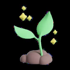 plant with stars
